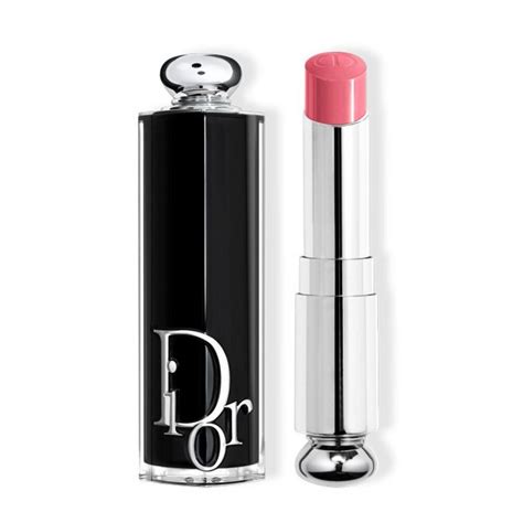 dior lippenstifft|Dior false lipstick.